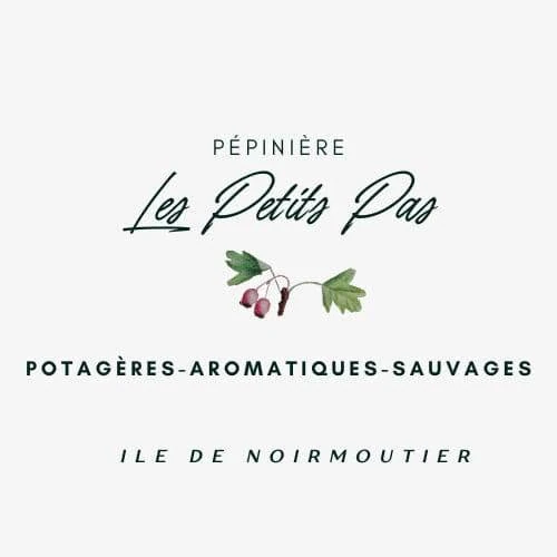 Logo Pépinière Les Petits Pas