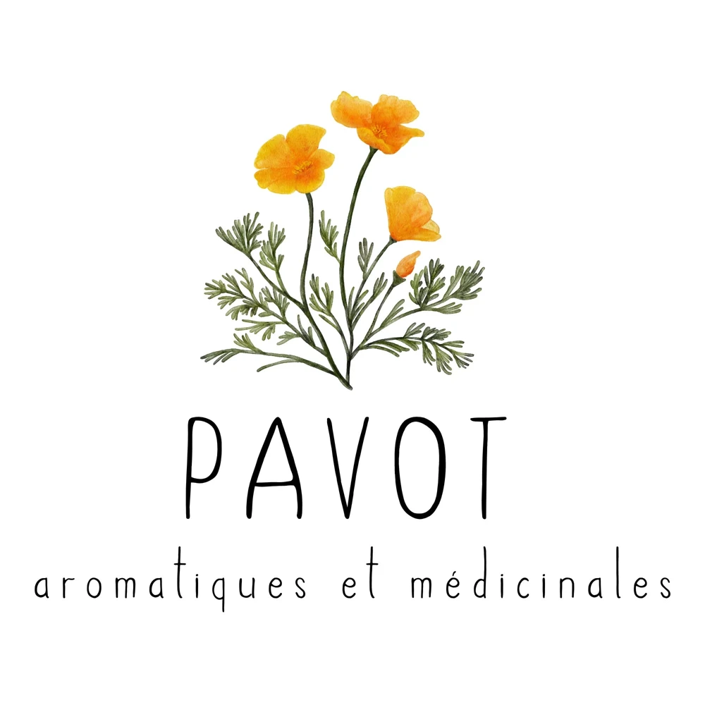 Logo Pavot